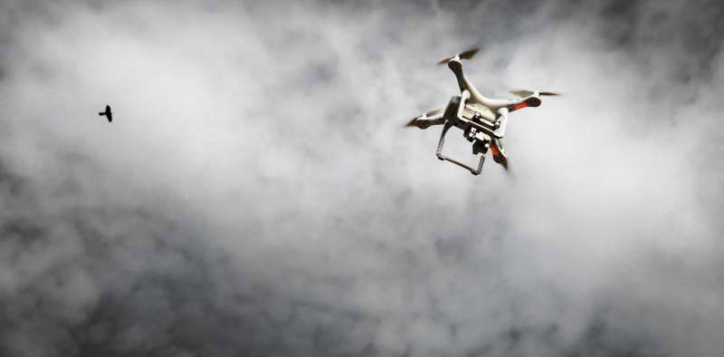 Are drones really dangerous to airplanes?