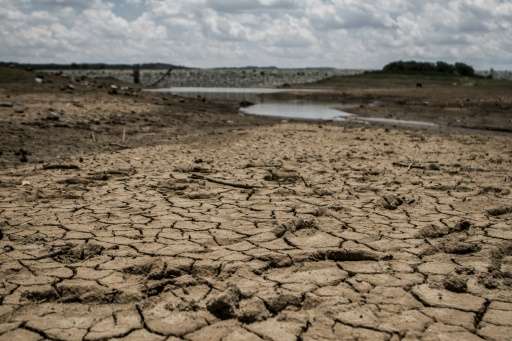 A regional drought worsened by the El Nino weather phenomenon has hit Zimbabwe hard