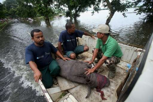 A rhino calf is transported to safety after being rescued by wildlife officials in flood waters in the Kaziranga National Park i