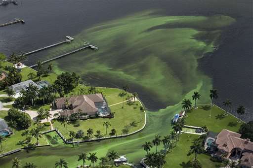 Army Corps to reduce lake flows fueling Florida algae bloom