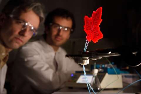 Artificial leaf as mini-factory for drugs