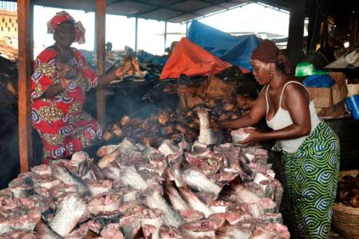As African governments gather for a summit in Togo aimed at cracking down on illegal fishing, Guinea's corrupt officials and lac