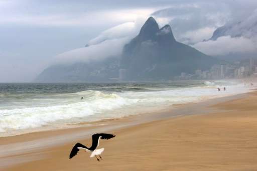 A seagul flies over Ipanema beach on a cloudy day in Rio de Janeiro