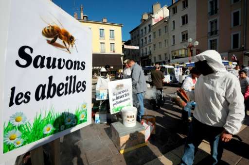 A sign reading &quot;Let us save the bees&quot; during a demonstration against Cruiser, an insecticide which belongs to a subcla