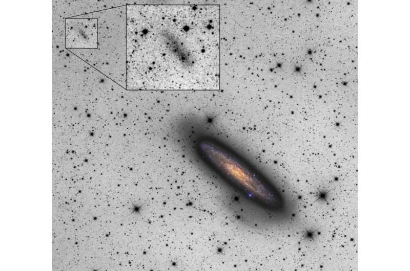 Astronomers spot a faint dwarf galaxy disrupting a nearby giant spiral galaxy