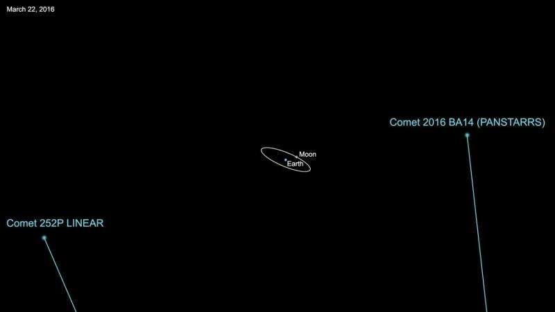 A 'tail' of two comets
