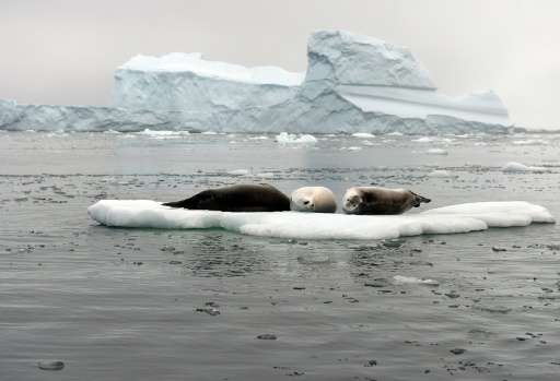 Attempts to create marine sanctuaries in the Antarctic have been repeatedly blocked due to a lack of consensus