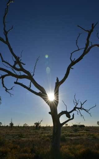 Australia experienced its three warmest springs on record between 2013-15 - spring is the bushfire season when temperature and r