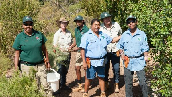 Australia's new bush tucker seed bank