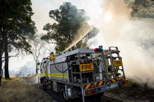 Australia's parliamentary upper house says it will hold an inquiry into bushfires in the forest to investigate the impact of glo