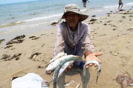 A Vietnamese villager shows dead sea fish he collected on a beach in Thua Thien Hue province on April 21, 2016