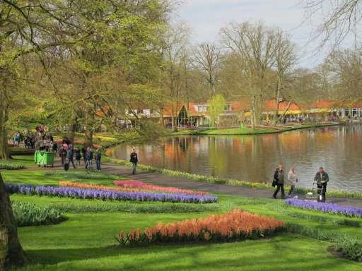 A view of the 67th annual springtime display at the Keukenhof gardens, created in 1857 and modelled on English gardens of the pe