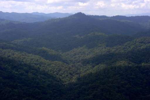 A view of the Rio Platano biosphere reserve in Honduras, where explorers over the past century have claimed several times to hav