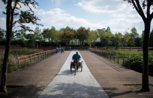 A worker pedals through the Houtan Park on his tricycle, in Shanghai