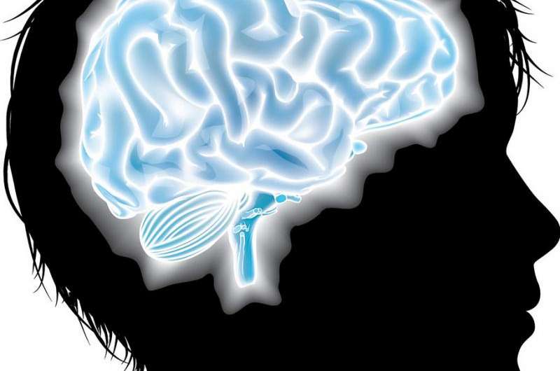 A young neurologist explores the mysteries of the teenage brain