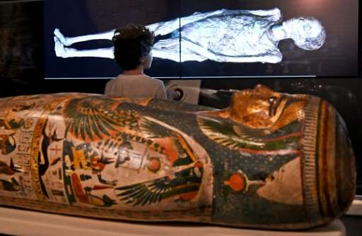 A young visitor looks at a 3D image of a CT scan of an Egyptian mummy, during a preview for a joint British-Australian exhibitio