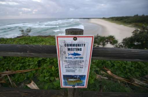 Ballina's Lighthouse Beach is in a region that has become known as a shark hotspot after a spate of encounters over the past yea