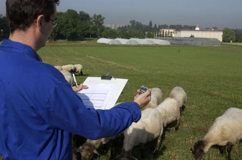 Batfarm will enable livestock farmers to assess the environmental impact of their farms