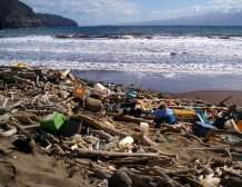 Beach litter study finds rise in polystyrene foam, balloons and fishing nets