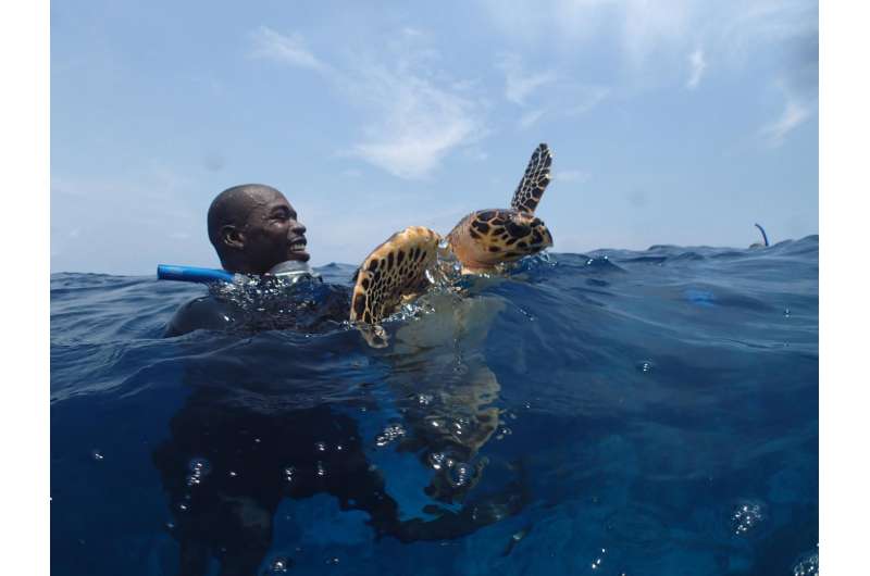Belize's Glover's Reef providing refuge for new generation of sea turtles