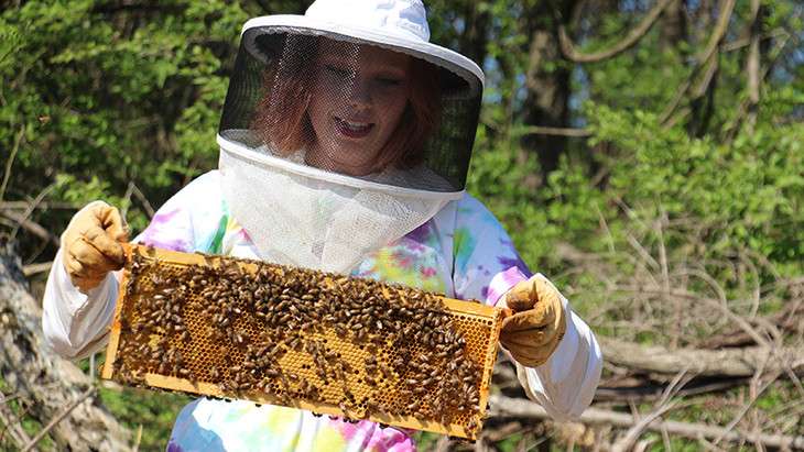 Berks' bees and pollen variation subject of student’s independent study