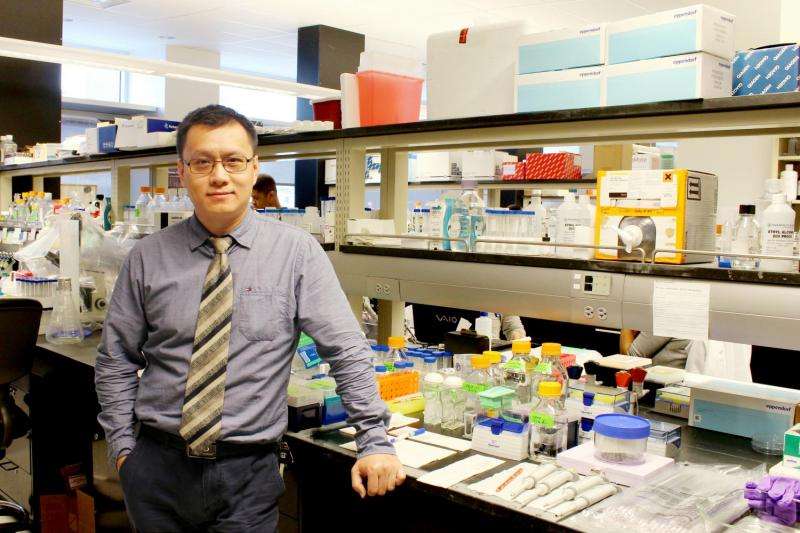 Biologist believes an intestinal cell type may be source of inflammatory bowel disease