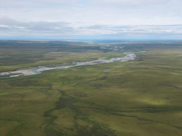 Biomass offsets little or none of permafrost carbon release