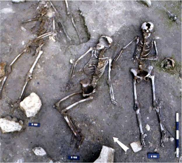 Black death viral strains persisted to create repeated European outbreaks