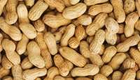 Blockade of histamine receptors suppresses intestinal anaphylaxis in peanut allergy