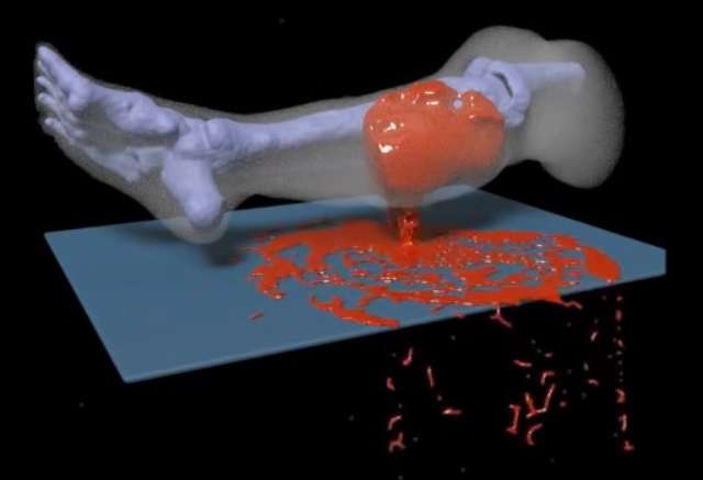 Blood work: ONR-sponsored technology simulates how legs bleed