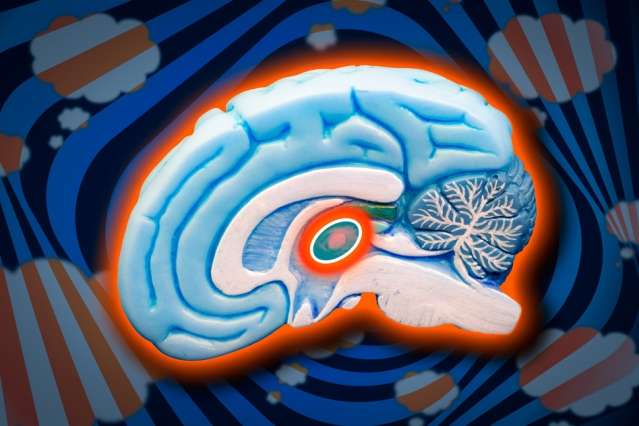 Boosting thalamic reticular nucleus function to treat ADHD and other disorders