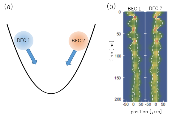 Bose-Einstein condensates miscibility properties reveal surprises
