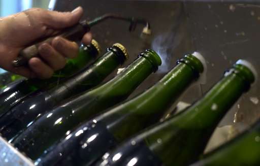 Bottles of &quot;cremant d'Alsace&quot; sparkling wine are pictured during the disgorging process on August 12, 2016, in Steinba