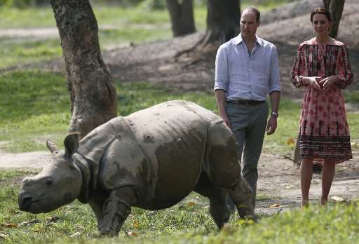 Britain's Prince William (L), Duke of Cambridge, and Catherine, Duchess of Cambridge, look at young rhino at the Centre for Wild