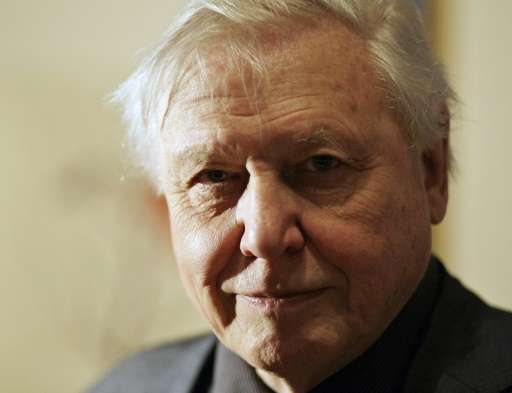 British naturalist David Attenborough called for zoo-goers to show more consideration to gorillas