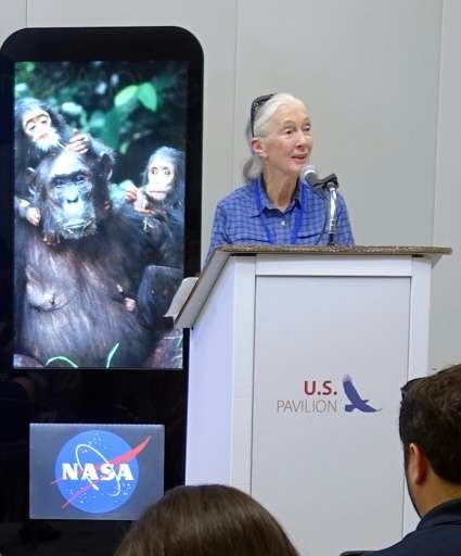 British primatologist Jane Goodall and scientists have signed an open letter expressing concern about the use of gene drives in 