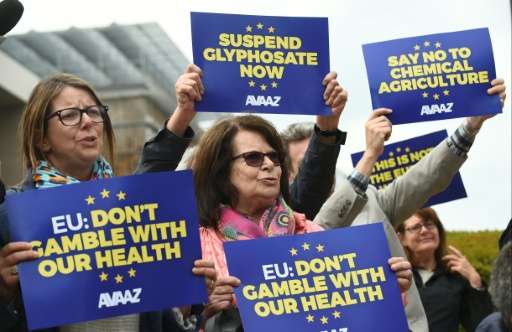 Campaigners demonstrate in Brussels on May 18, 2016 against the use of weedkiller glyphosate