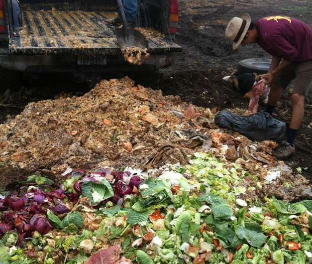 Campus composting programs effective in educating students