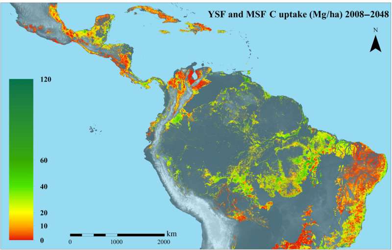 Carbon capture is substantial in secondary tropical forests