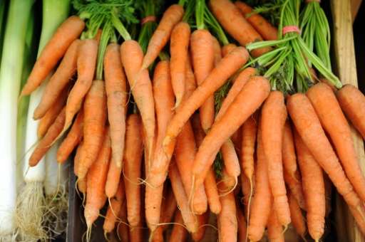 Carrots are loaded with beta-carotene, a natural chemical that the body can transform into Vitamin A