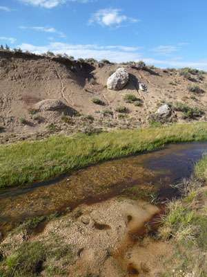 CA's state fish can benefit from restoring and protecting streamside meadows
