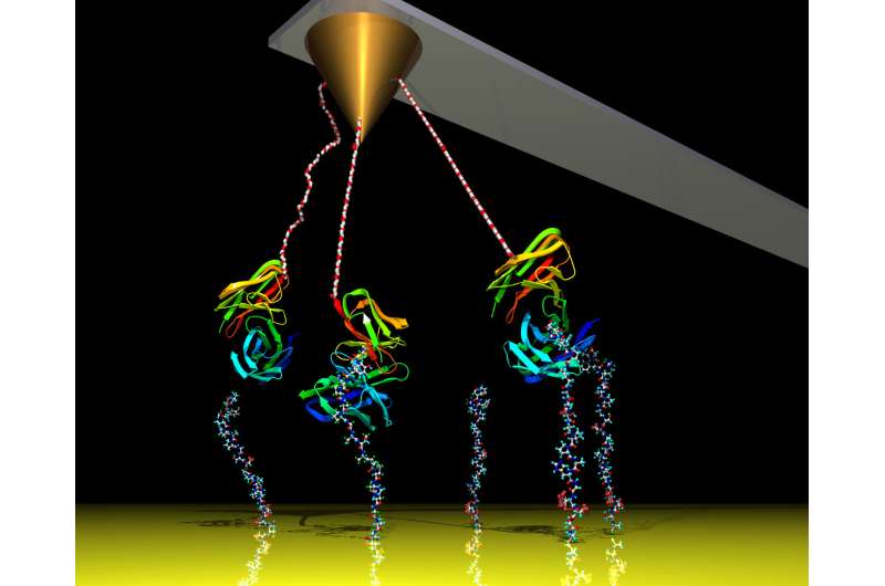 Catching molecular dance moves in slow motion by adding white noise