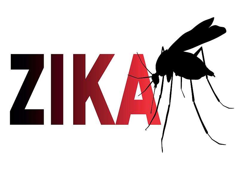 疾控中心奖2.4美元到5地区对抗zika病毒