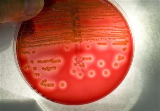 CDC: Superbugs cause 1 in 7 infections caught in hospitals