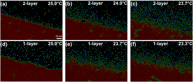 Challenging observations of 2-D melting and surface premelting at the single-particle level
