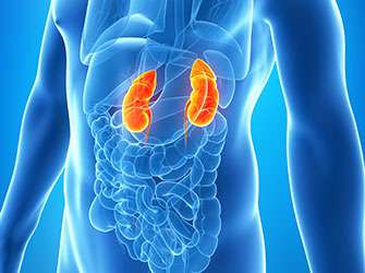 Changing renal cell carcinoma therapy can significantly improve results