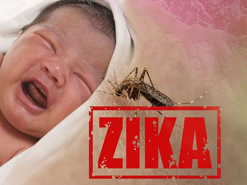 Check newborns of women who visited zika-prone areas for infection: CDC
