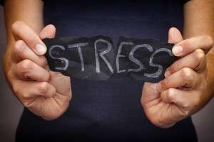 Chronic stress and anxiety can damage the brain