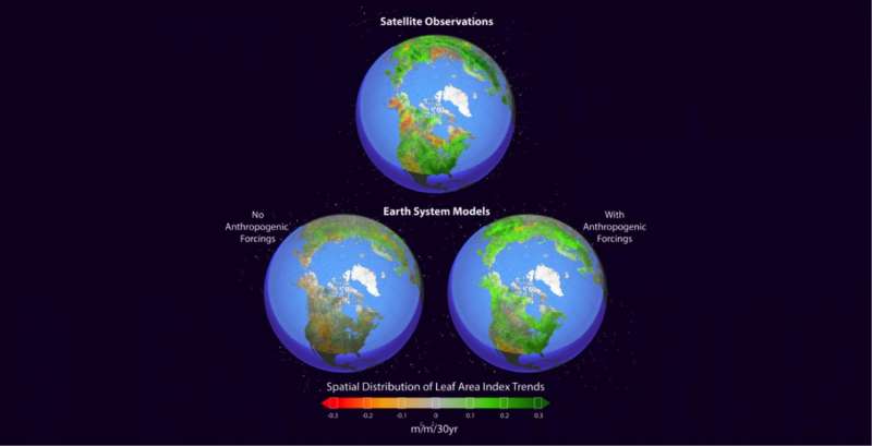 Climate study finds human fingerprint in Northern Hemisphere greening