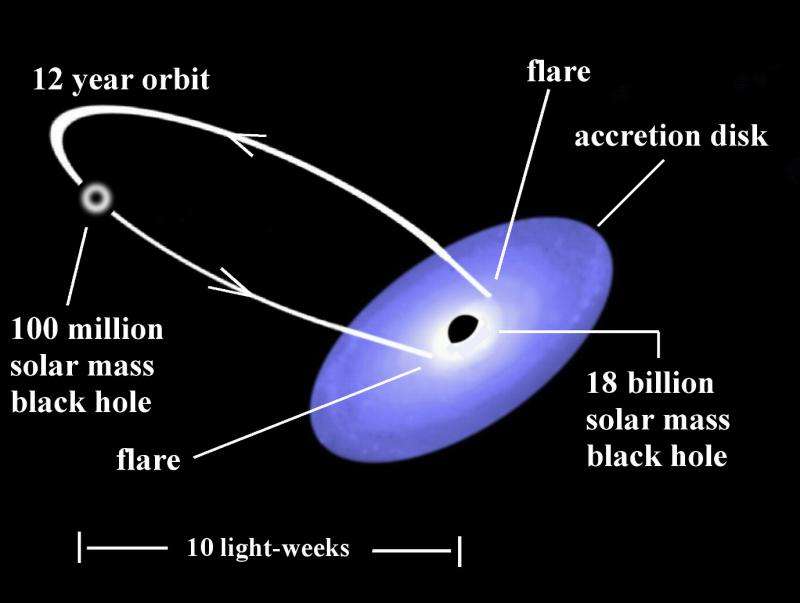 Clocking the rotation rate of a supermassive black hole